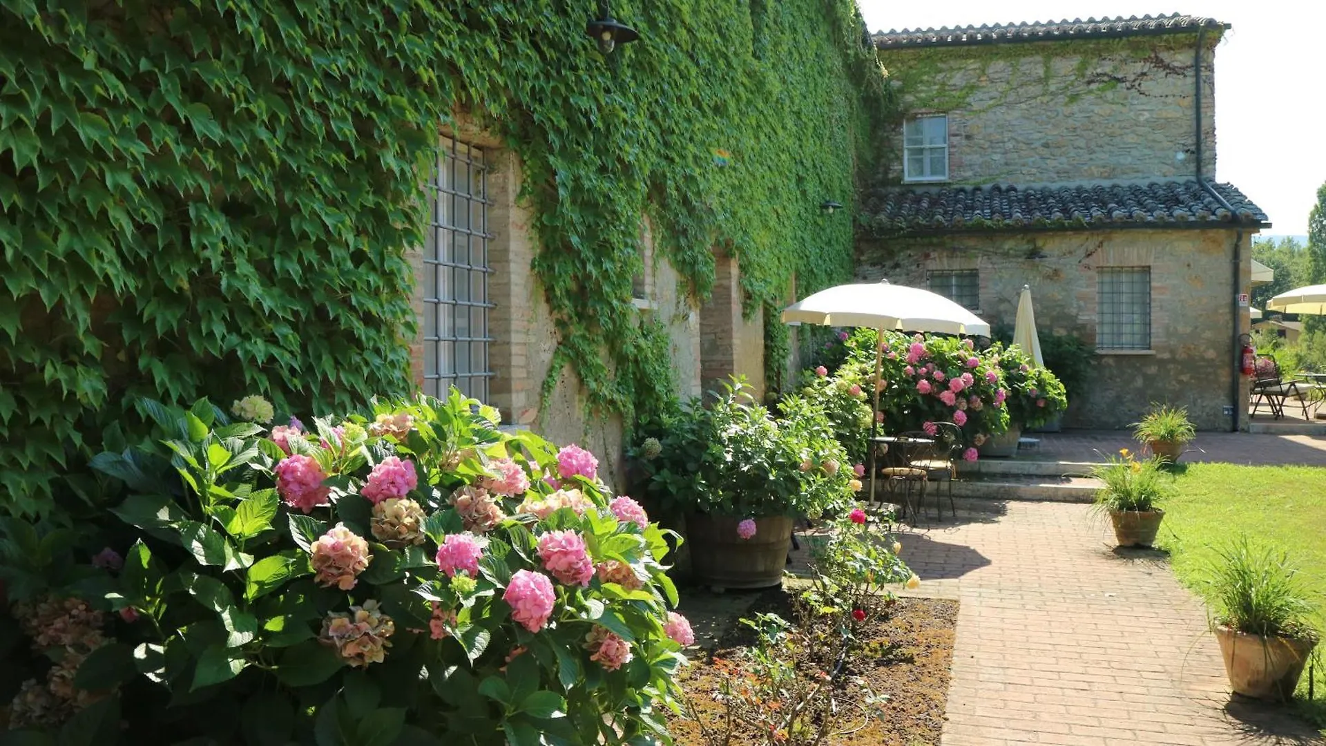 Agriturismo La Sovana Sarteano Lantgård