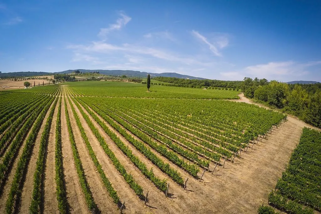 Agriturismo La Sovana Sarteano