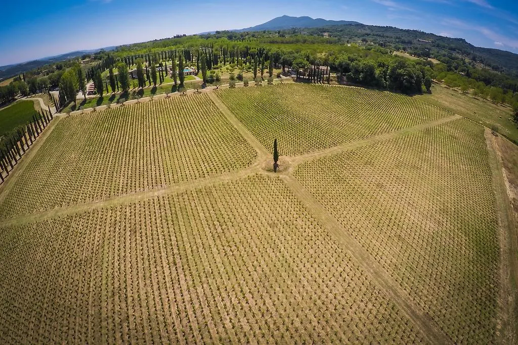 Lantgård Agriturismo La Sovana Sarteano